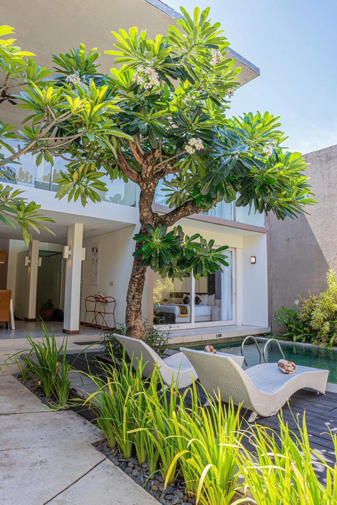 Asa Bali Luxury Villas & Spa Σεμινιάκ Εξωτερικό φωτογραφία